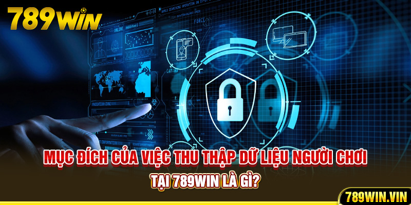 Mục đích của việc thu thập dữ liệu người chơi tại 789Win là gì?