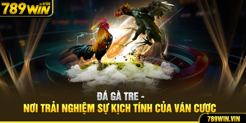 Đá Gà Tre - Nơi Trải Nghiệm Sự Kịch Tính Của Ván Cược