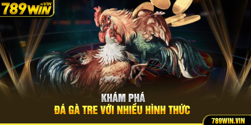 Khám phá đá gà tre với nhiều hình thức