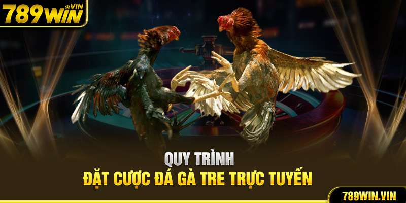 Quy trình đặt cược đá gà tre trực tuyến