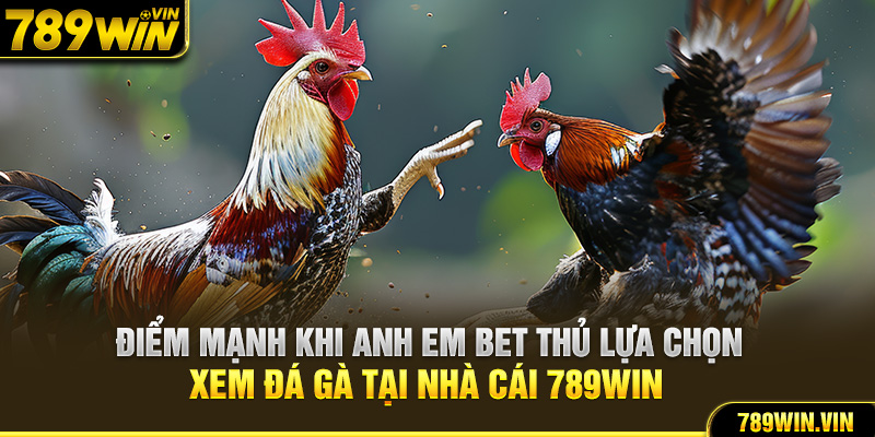 Điểm mạnh khi anh em bet thủ lựa chọn xem đá gà tại nhà cái 789Win