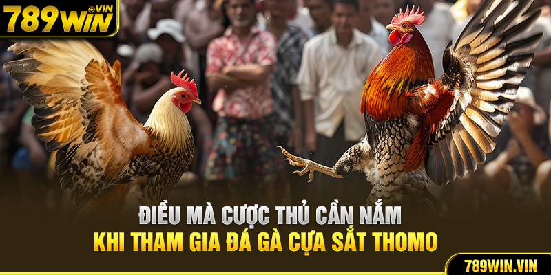 Điều mà cược thủ cần nắm khi tham gia đá gà cựa sắt Thomo