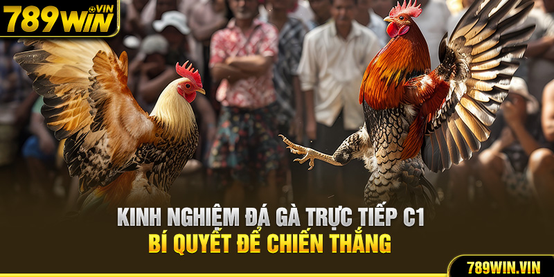 Kinh nghiệm đá gà trực tiếp C1 - Bí quyết để chiến thắng