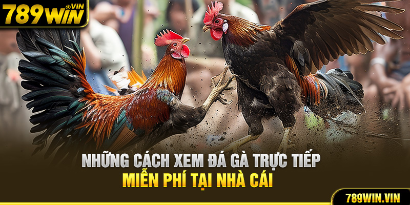 Những cách xem đá gà trực tiếp miễn phí tại nhà cái